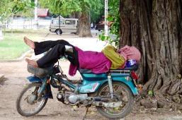 Eloge de la sieste ...