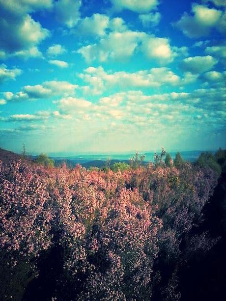 Via de la Plata. Étape 21 en images!