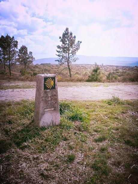 Via de la Plata. Étape 21 en images!