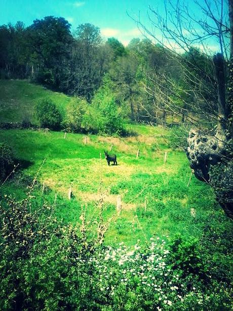 Via de la Plata. Étape 21 en images!