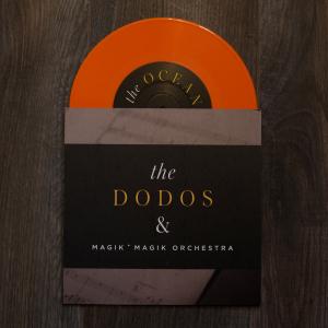 The Dodos & Magik Magik Orchestra
