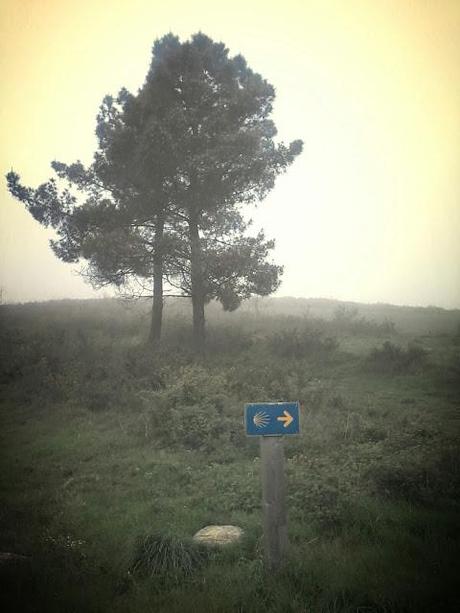 Via de la Plata. Étape 22 en photos!