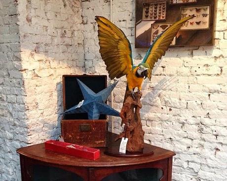 Wishlist chez Scotch Collectables