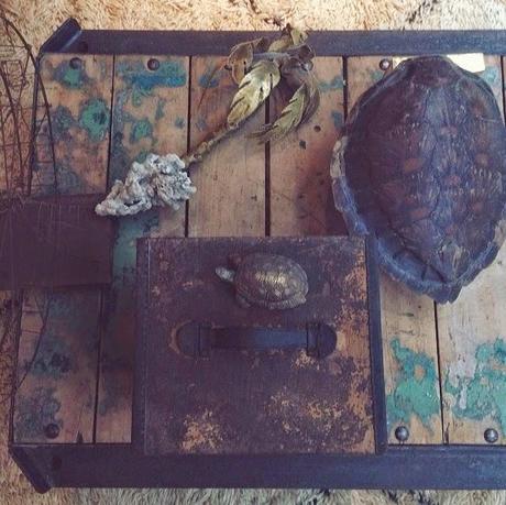 Wishlist chez Scotch Collectables