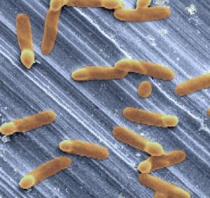 La RECHERCHE a besoin des Tourangeaux – CHRU Tours