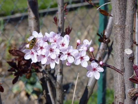 Un week-end plus que parfait