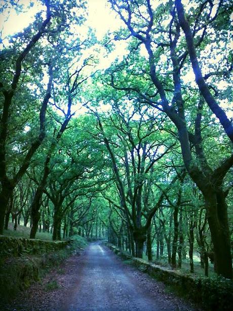Via de la Plata.  Étape 23 en images!