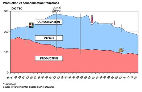 Production-et-consommation-viande-ovine-france-2