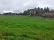 Verte promenade Pâques