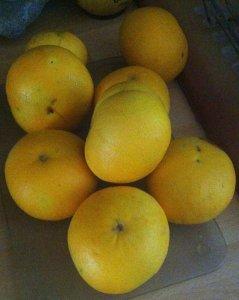 Confiture de pamplemousses/mandarines