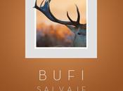 Bufi dévoile nouvel avec “Salvaje”, label Discotexas