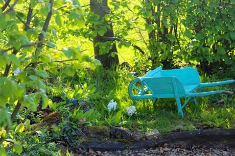 1383153_10152352538274520_8353849728952647607_n