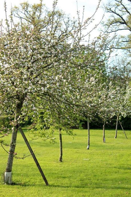 10176100_10152352539139520_3125677784946380651_n