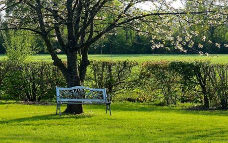 10154170_10152352537209520_3933955307441039053_n