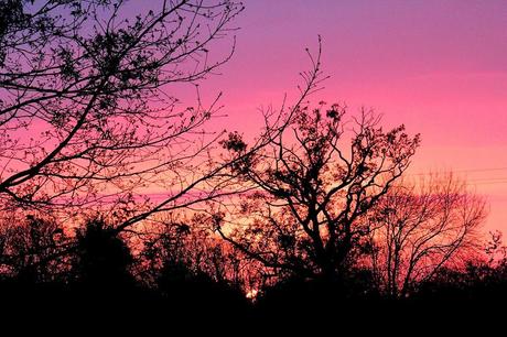 10294265_10152352539739520_8825570046834841372_n