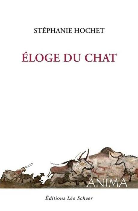 eloge-chat-1558209-616x0
