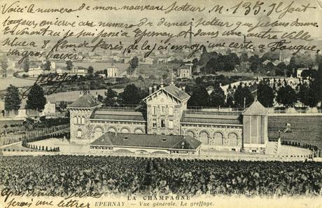 D'Euville à Arras... en passant par Epernay... Georges, à sa Maman