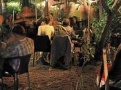 Visite déco pelouse interdite Toulouse