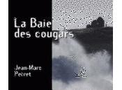 Baie cougars