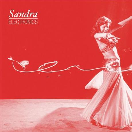 Sandra Electronics - Protection Now