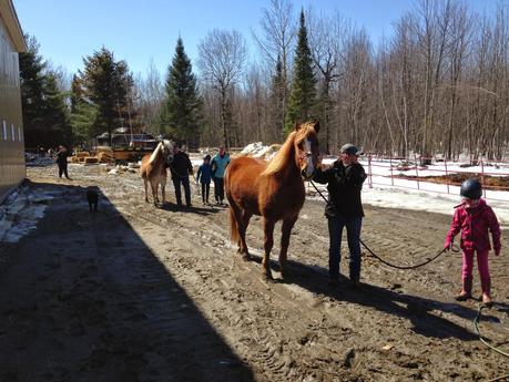 Enfin! L'équithérapie et l'occasion de dire merci!