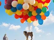 iPhone Apps Instagram, photos suivre)