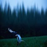 PHOTOS : Christine Muraton et ses auto-portraits.