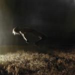 PHOTOS : Christine Muraton et ses auto-portraits.