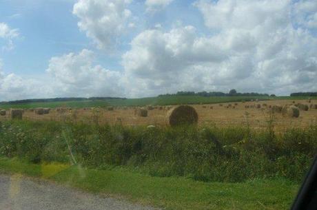 Paysages de notre région Nord-Pas-de-Calais : aujourd'hui Thérouanne, Pas-de-Calais
