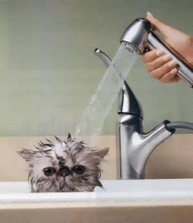 Le changement au travail ? C'est comme une douche... froide. 1