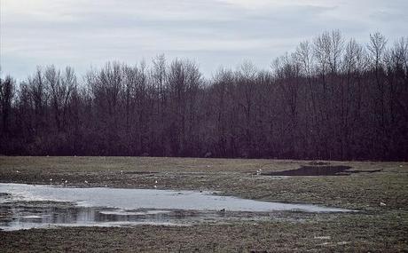 anteketborka.blogspot.com,   printemps 3