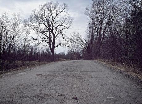 anteketborka.blogspot.com,   printemps 2