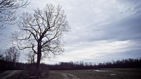 anteketborka.blogspot.com,   printemps 7