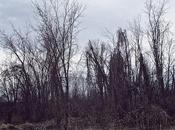 Printemps automnal automne printanier ....