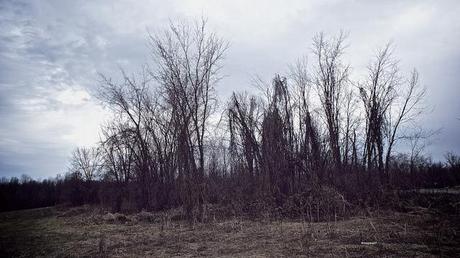 anteketborka.blogspot.com,   printemps 8