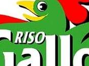 Partenaire Riso Gallo