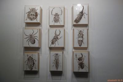 Lee Bae, Insectes collectés, 1998. Agrafes sur panneau, 50 x 40 x 5cm c haque 