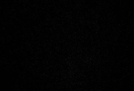 Les Chiens Perdus, Les Incompris