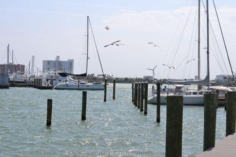 colineseracontegoestoamerica 9