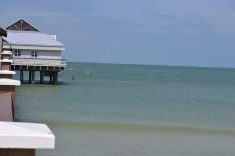 colineseracontegoestoamerica 16