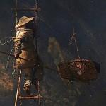 PHOTO : Une récolte de miel plutôt dangereuse …