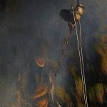 PHOTO : Une récolte de miel plutôt dangereuse …