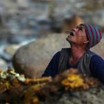 PHOTO : Une récolte de miel plutôt dangereuse …