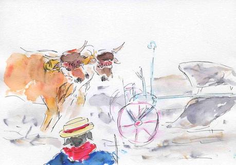 94 a) Charrue avant bœufs