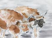 Encore expressions. Corvéables merci: n'est bœufs