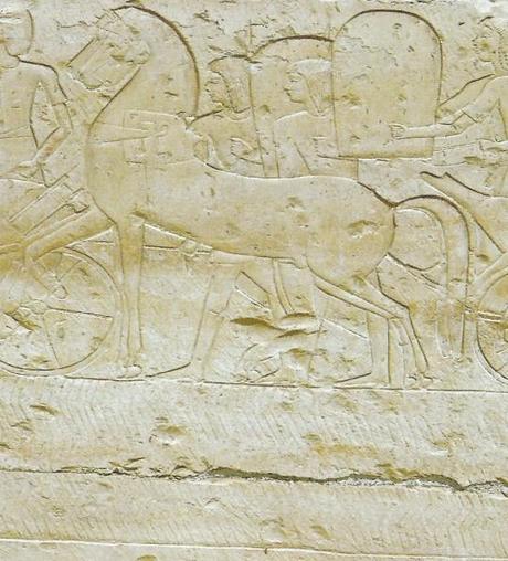 Temple-de-Ramses-II-a-Abydos--chars-et-chevaux.jpg