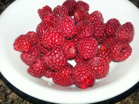 Vendredi Joyeux: Écrasée de frambroises! #TGIF