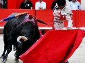 Saint martin crau samedi