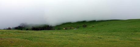 Genève et le Salève