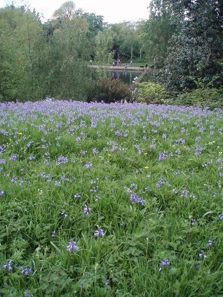 Londres 1/3 (végétal et animal)